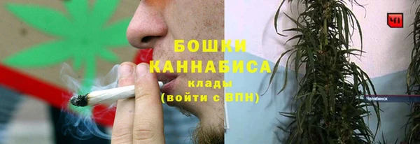 сатива Алексин