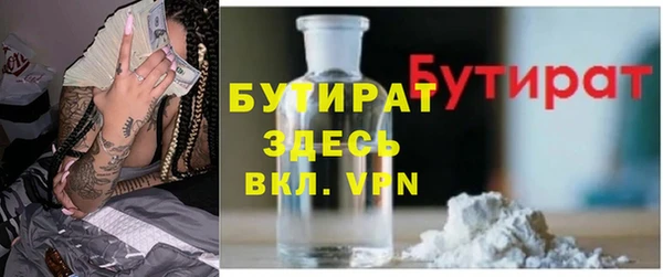 индика Новодвинск