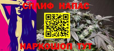 СК Новодвинск
