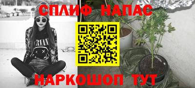СК Новодвинск