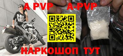 СК Новодвинск