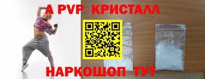 СК Новодвинск