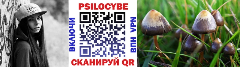 Галлюциногенные грибы Magic Shrooms хочу наркоту Фурманов